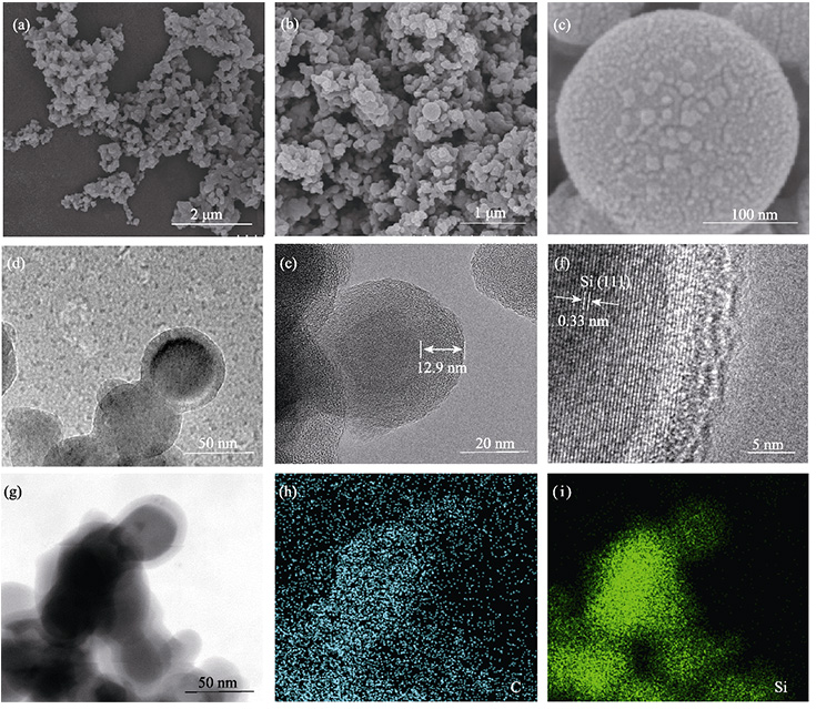 Z6尊龙旗舰厅(中国)官方网站