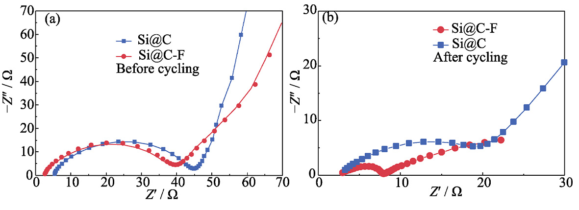 Z6尊龙旗舰厅(中国)官方网站