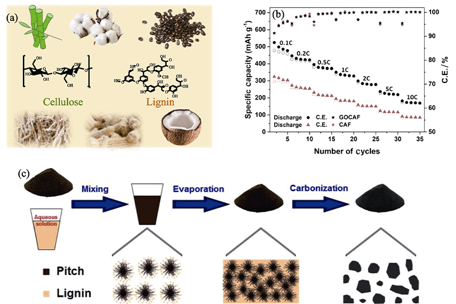Z6尊龙旗舰厅(中国)官方网站